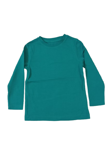 12-18 month Full Sleeve T-Shirts, FLTS8610