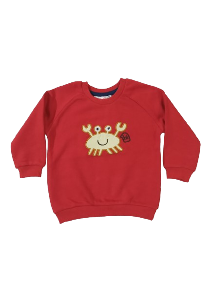 12-18 month Sweater/ SweatShirt, STR8605