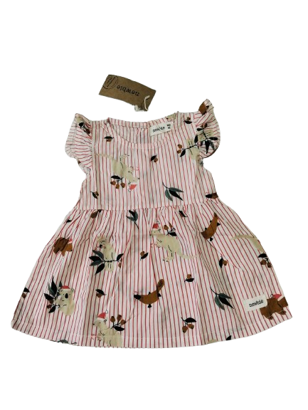 Newborn Frock, NBF5605