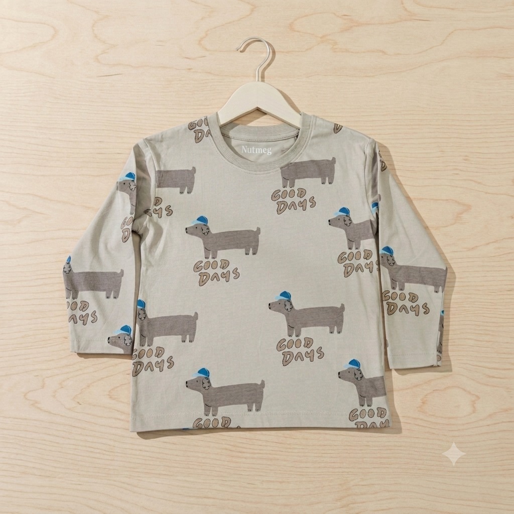 3 To 4 Years Full Sleeve T-Shirt, FLTS10410